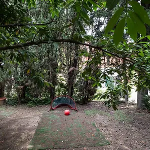  Appartement Vatican Quiet With Garden & Parking Italie